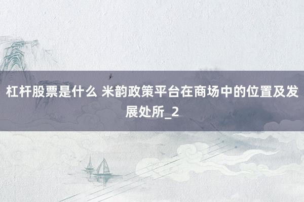 杠杆股票是什么 米韵政策平台在商场中的位置及发展处所_2