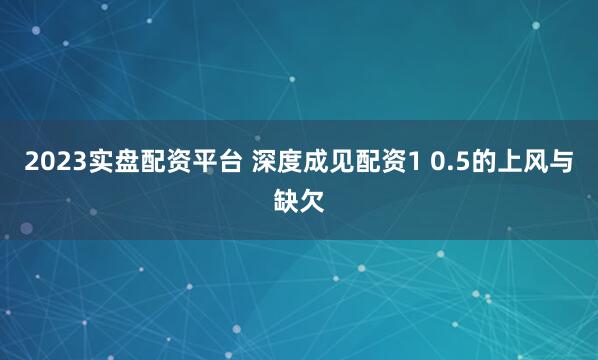 2023实盘配资平台 深度成见配资1 0.5的上风与缺欠