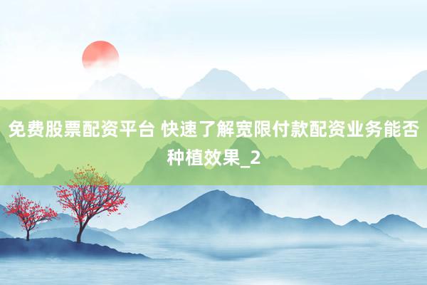 免费股票配资平台 快速了解宽限付款配资业务能否种植效果_2