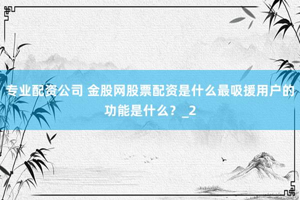 专业配资公司 金股网股票配资是什么最吸援用户的功能是什么？_2