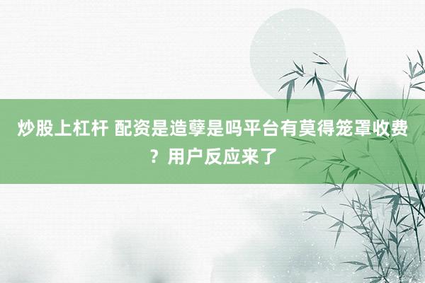 炒股上杠杆 配资是造孽是吗平台有莫得笼罩收费？用户反应来了