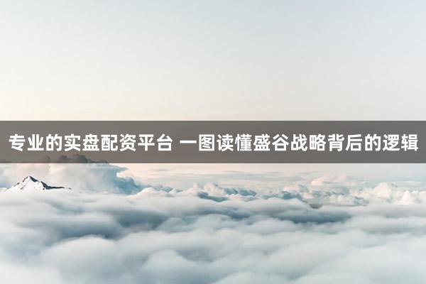 专业的实盘配资平台 一图读懂盛谷战略背后的逻辑