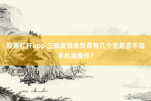股票杠杆app 三极度资表负荷有几个党是否不错手机端操作？