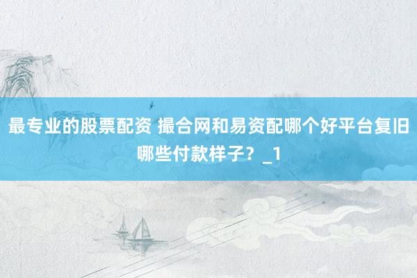 最专业的股票配资 撮合网和易资配哪个好平台复旧哪些付款样子？_1