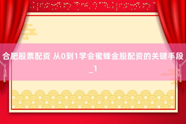 合肥股票配资 从0到1学会蜜蜂金股配资的关键手段_1