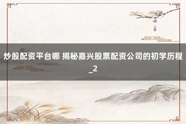 炒股配资平台哪 揭秘嘉兴股票配资公司的初学历程_2