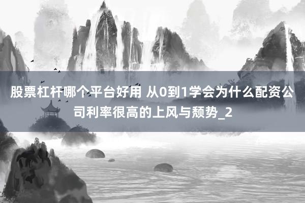 股票杠杆哪个平台好用 从0到1学会为什么配资公司利率很高的上风与颓势_2