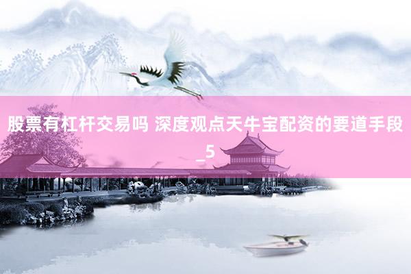 股票有杠杆交易吗 深度观点天牛宝配资的要道手段_5