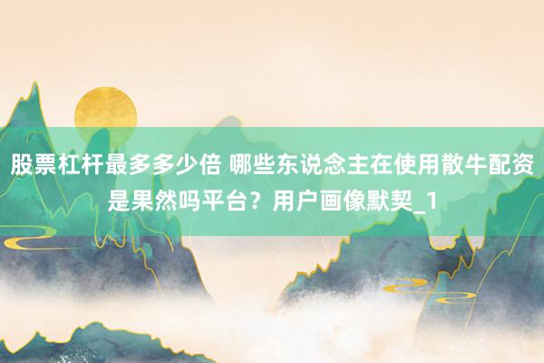 股票杠杆最多多少倍 哪些东说念主在使用散牛配资是果然吗平台?用户画像默契_1