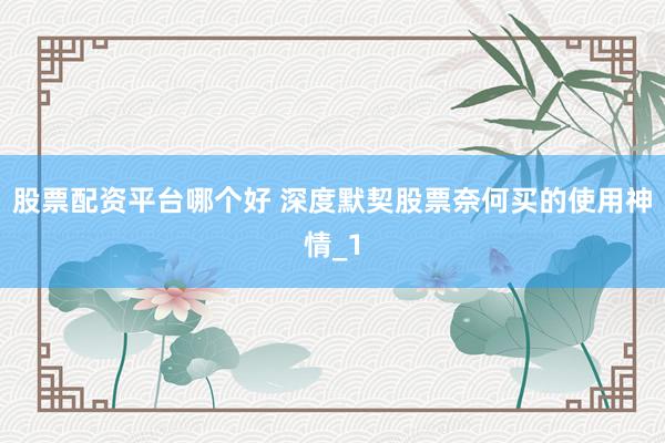 股票配资平台哪个好 深度默契股票奈何买的使用神情_1