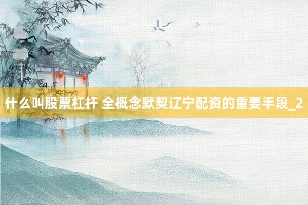 什么叫股票杠杆 全概念默契辽宁配资的重要手段_2