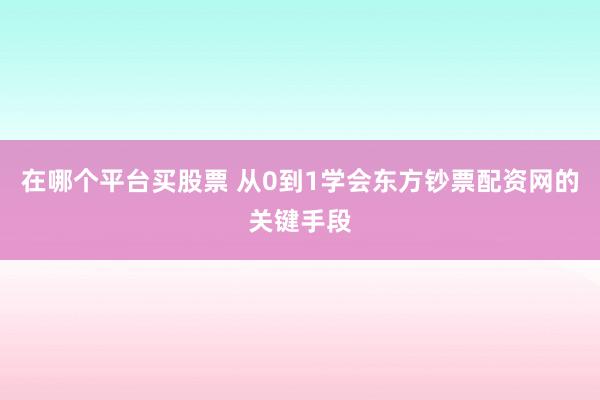 在哪个平台买股票 从0到1学会东方钞票配资网的关键手段
