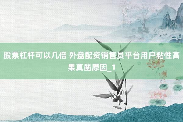 股票杠杆可以几倍 外盘配资销售员平台用户粘性高果真凿原因_1