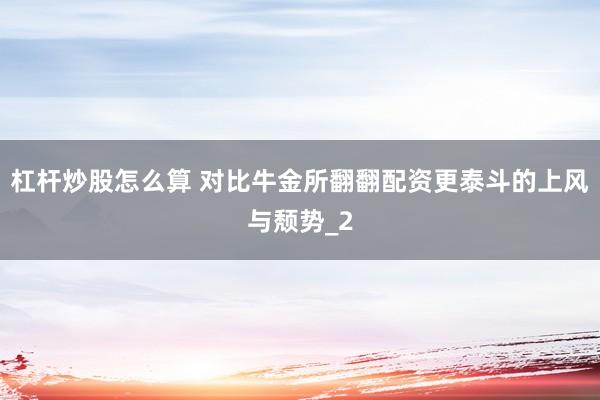 杠杆炒股怎么算 对比牛金所翻翻配资更泰斗的上风与颓势_2