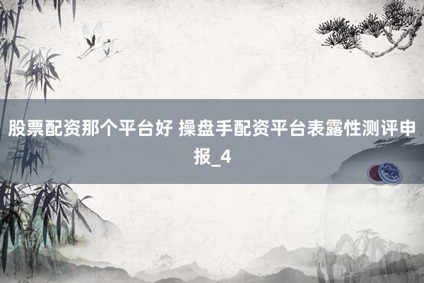 股票配资那个平台好 操盘手配资平台表露性测评申报_4