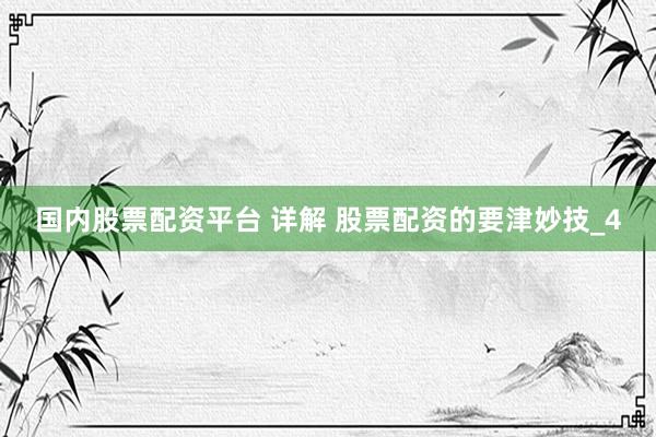 国内股票配资平台 详解 股票配资的要津妙技_4