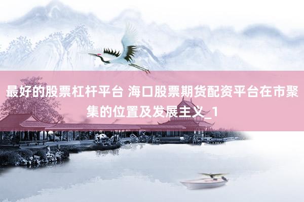 最好的股票杠杆平台 海口股票期货配资平台在市聚集的位置及发展主义_1