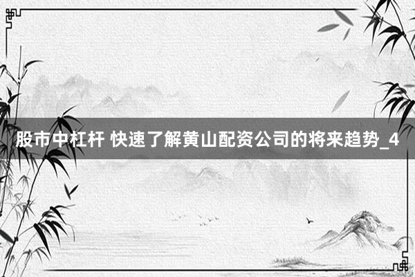 股市中杠杆 快速了解黄山配资公司的将来趋势_4