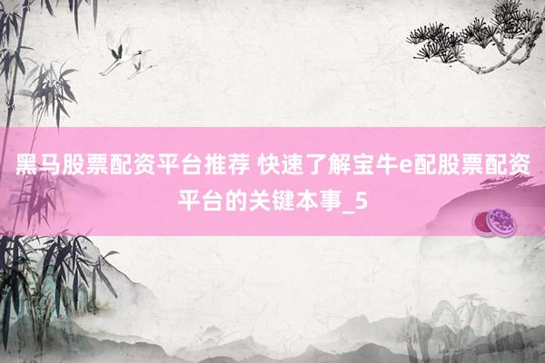 黑马股票配资平台推荐 快速了解宝牛e配股票配资平台的关键本事_5