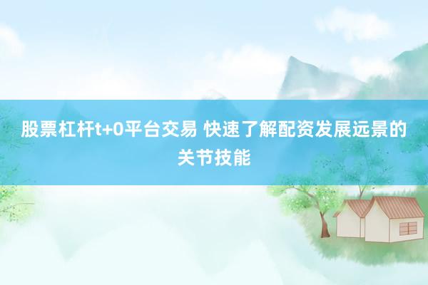 股票杠杆t+0平台交易 快速了解配资发展远景的关节技能