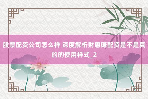 股票配资公司怎么样 深度解析财惠赚配资是不是真的的使用样式_2